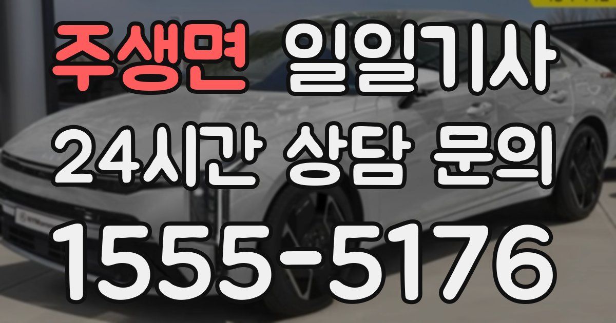 일일대리기사
