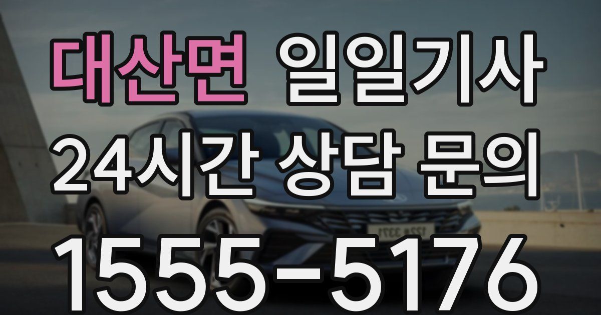 일일대리기사