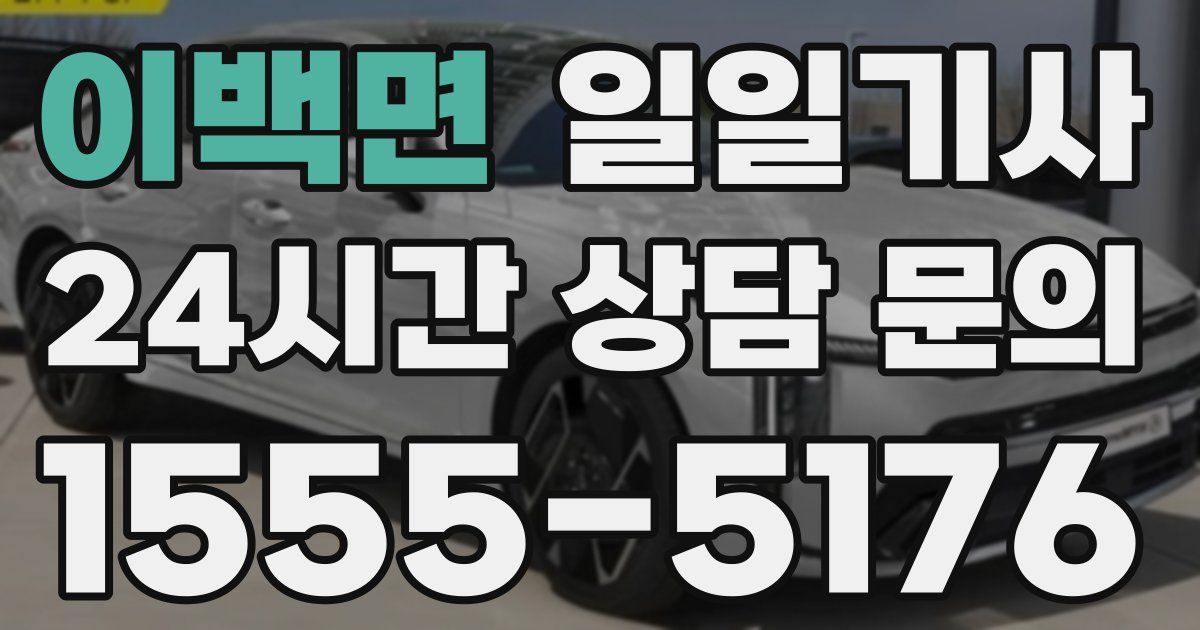일일대리기사