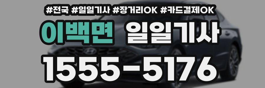 이백면 일일기사