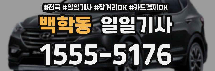 백학동 일일기사