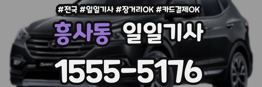 흥사동 일일기사