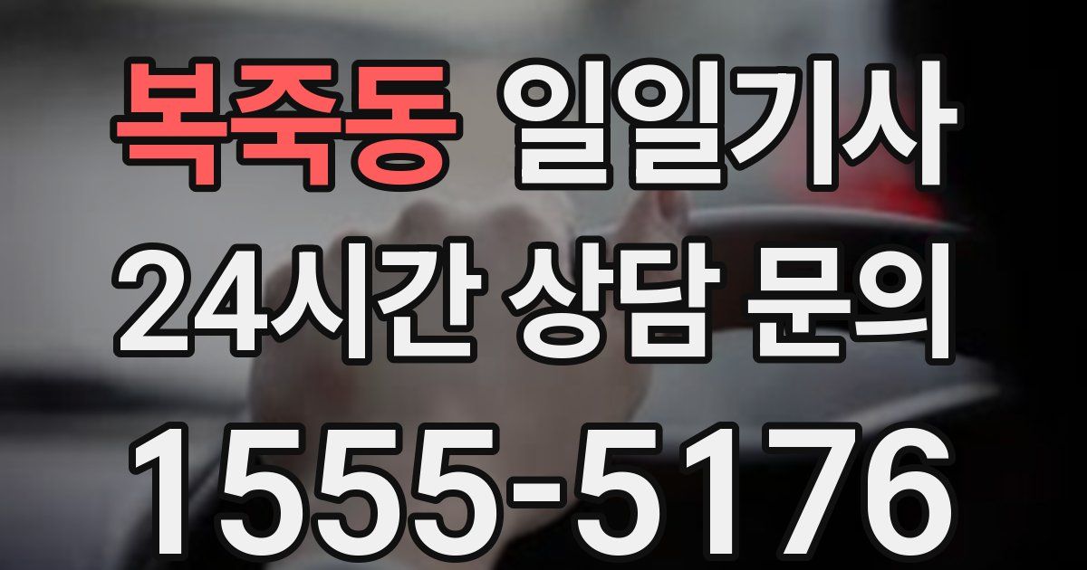 일일대리기사