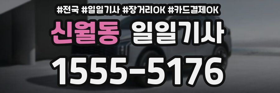 신월동 일일기사