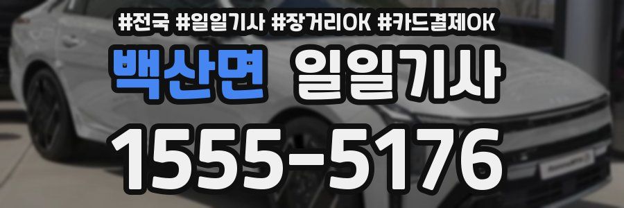 백산면 일일기사