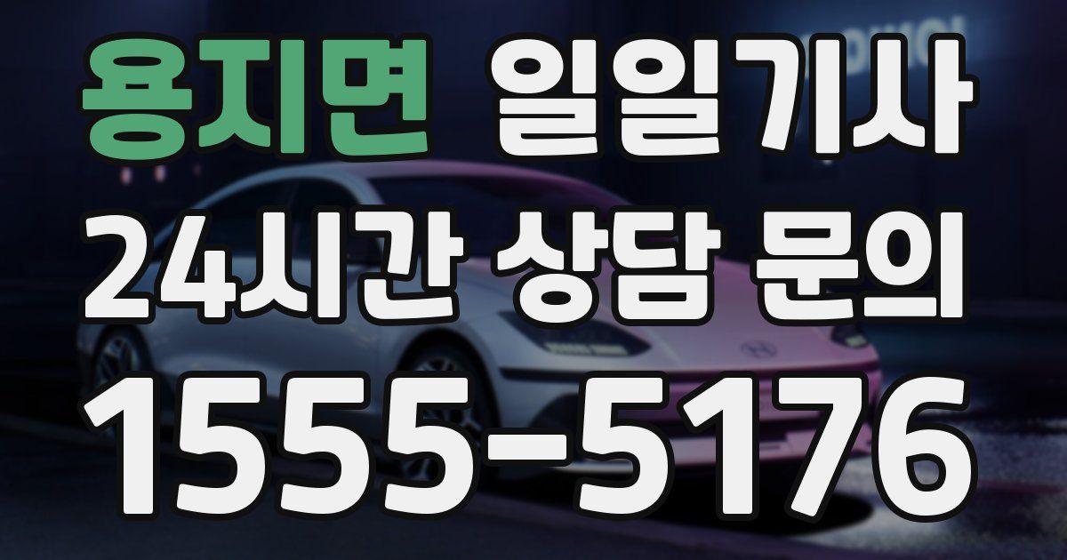 일일대리기사