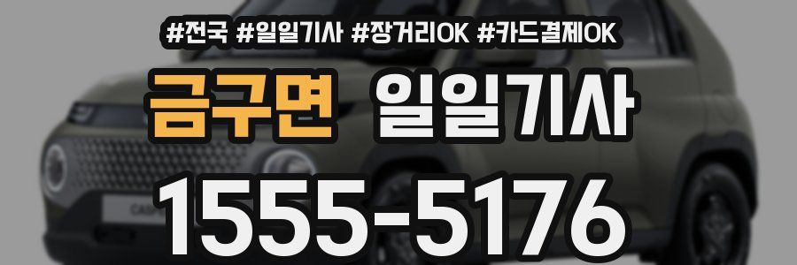 금구면 일일기사