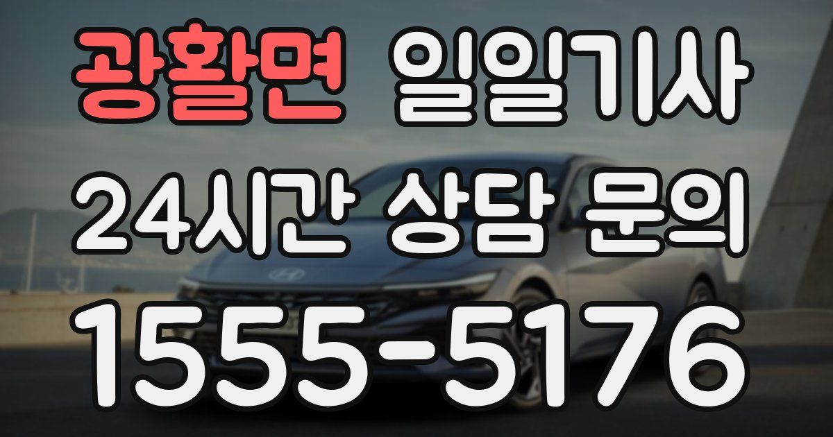 일일대리기사