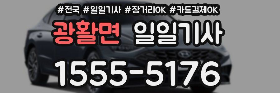 광활면 일일기사