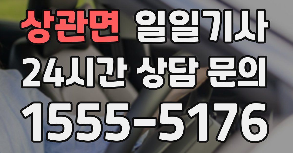일일대리기사