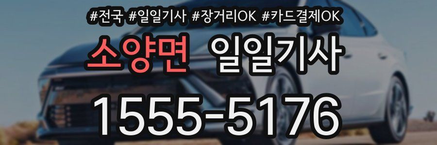 소양면 일일기사