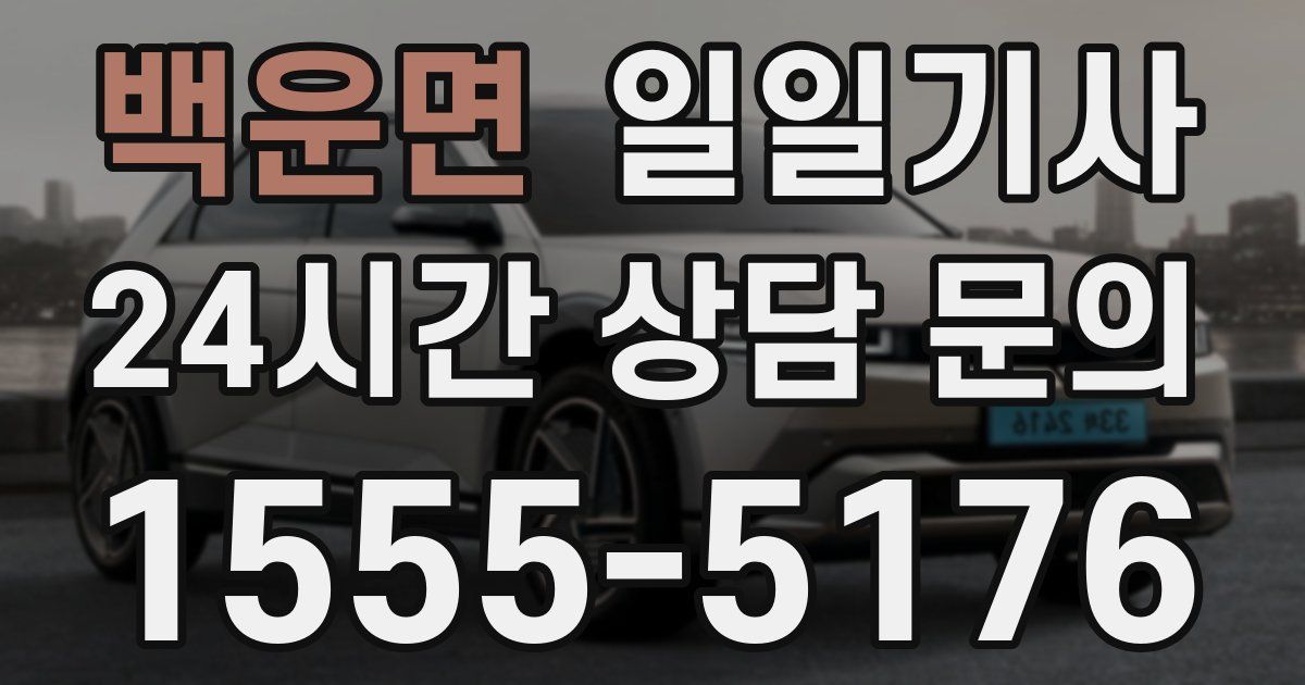 일일대리기사