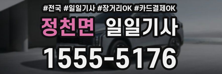 정천면 일일기사