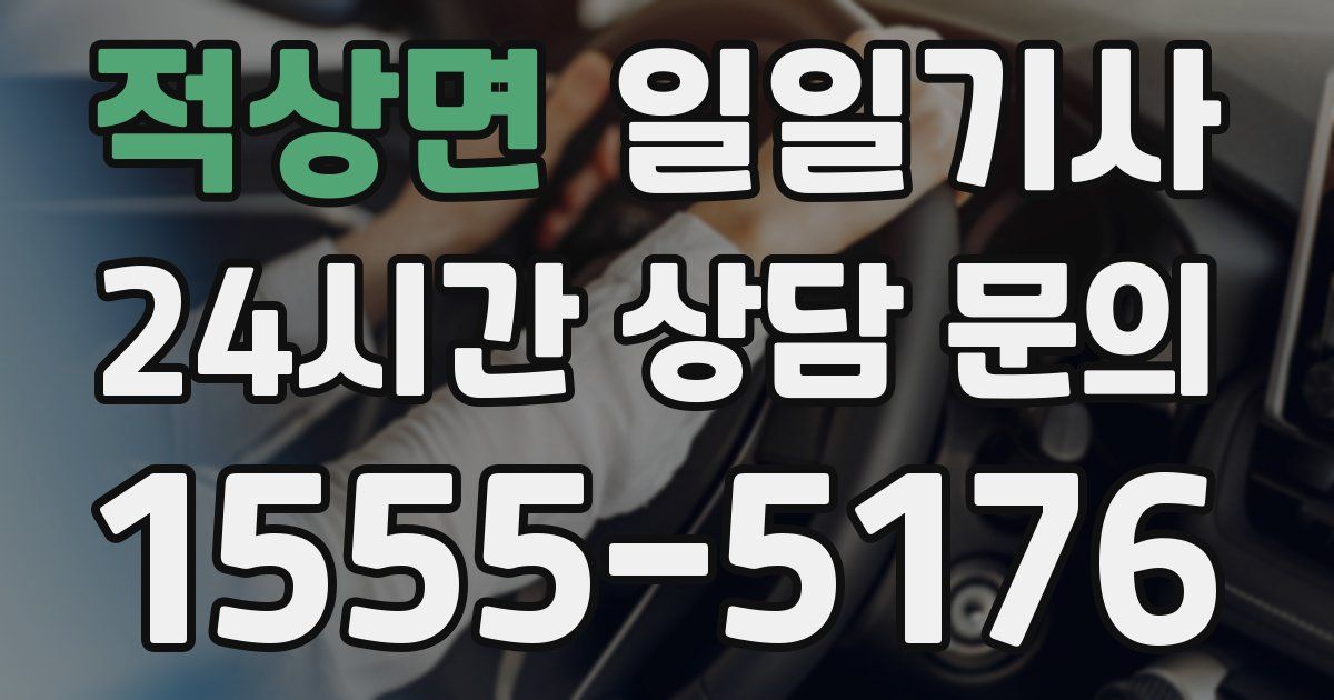 일일대리기사