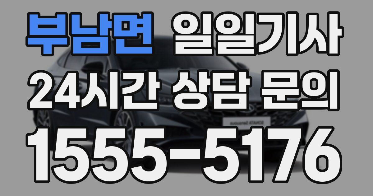 일일대리기사