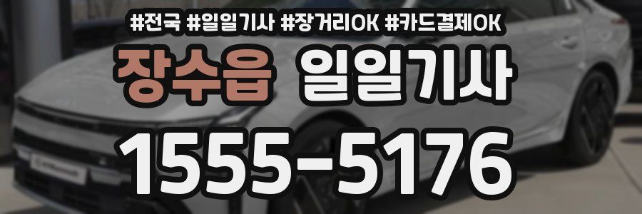 장수읍 일일기사