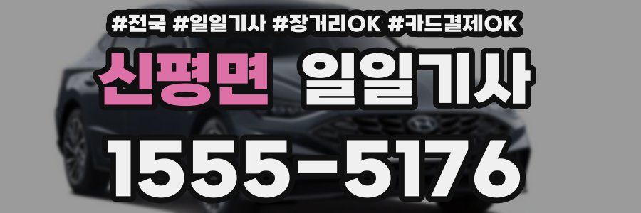 신평면 일일기사