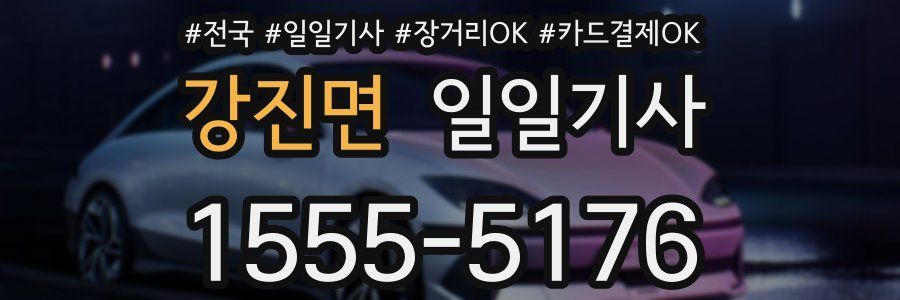 강진면 일일기사