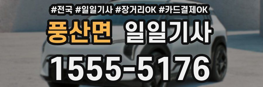 풍산면 일일기사