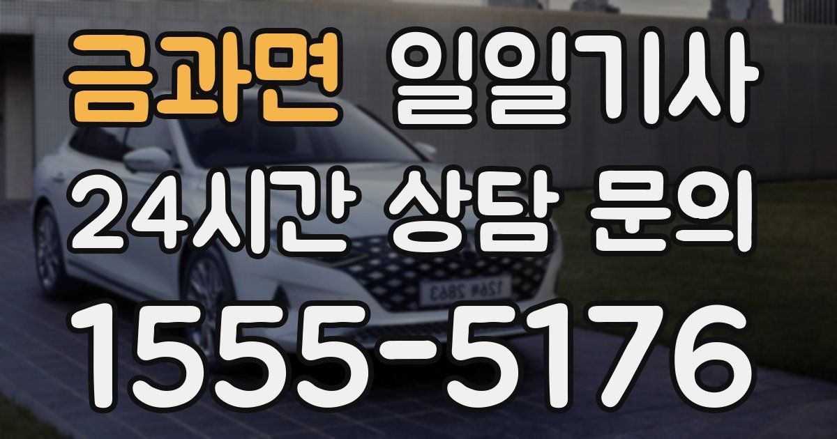 일일대리기사