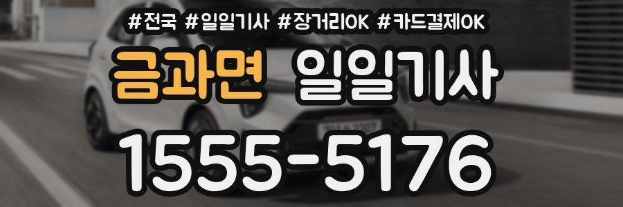 금과면 일일기사