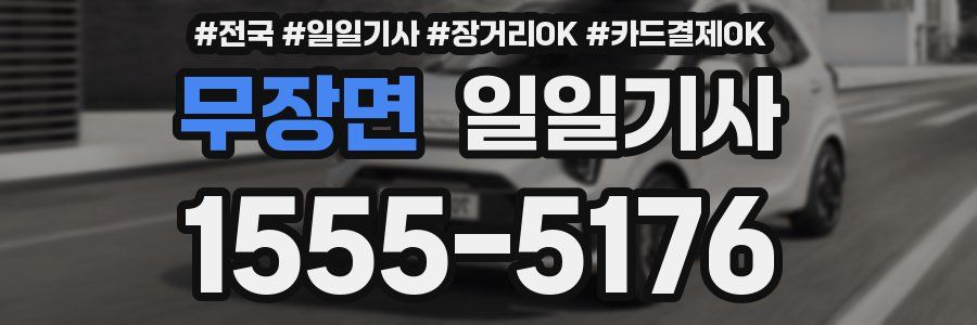 무장면 일일기사