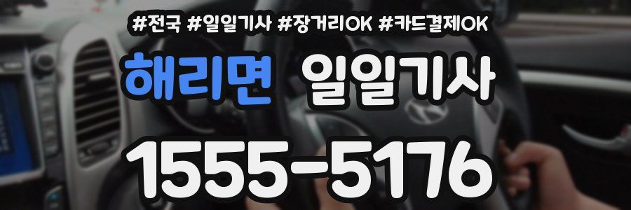 해리면 일일기사