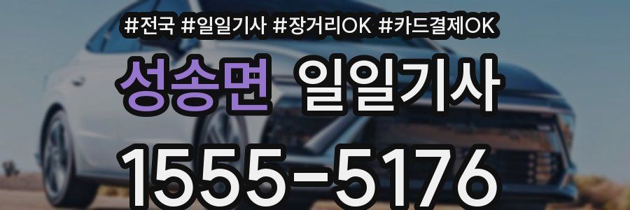 성송면 일일기사