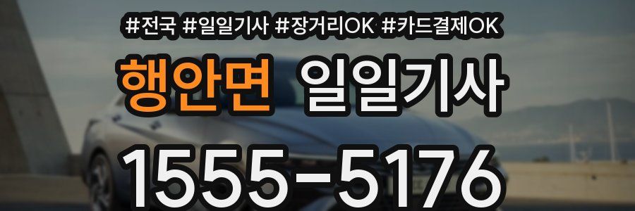 행안면 일일기사