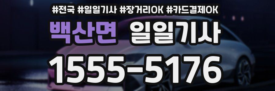 백산면 일일기사