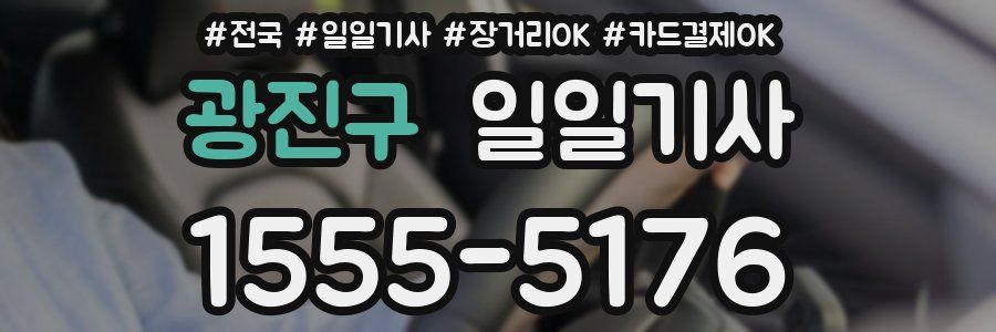 광진구 일일기사