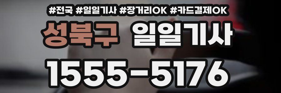 성북구 일일기사