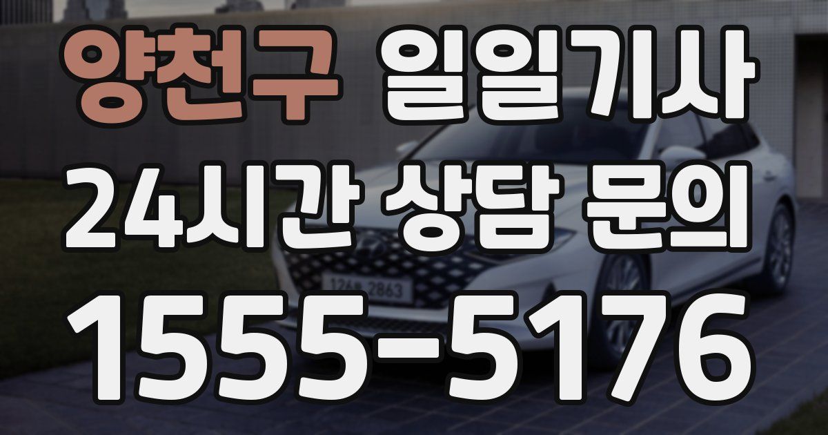 일일대리기사