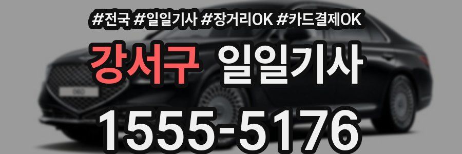 강서구 일일기사