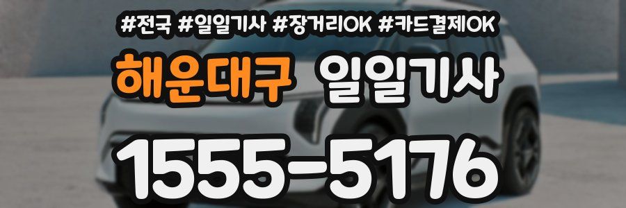 해운대구 일일기사