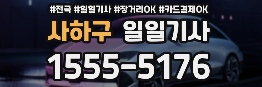 사하구 일일기사