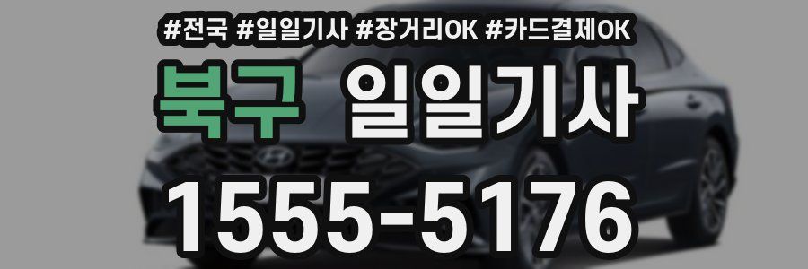 북구 일일기사