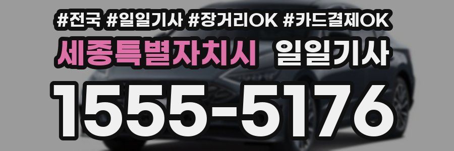 세종특별자치시 일일기사