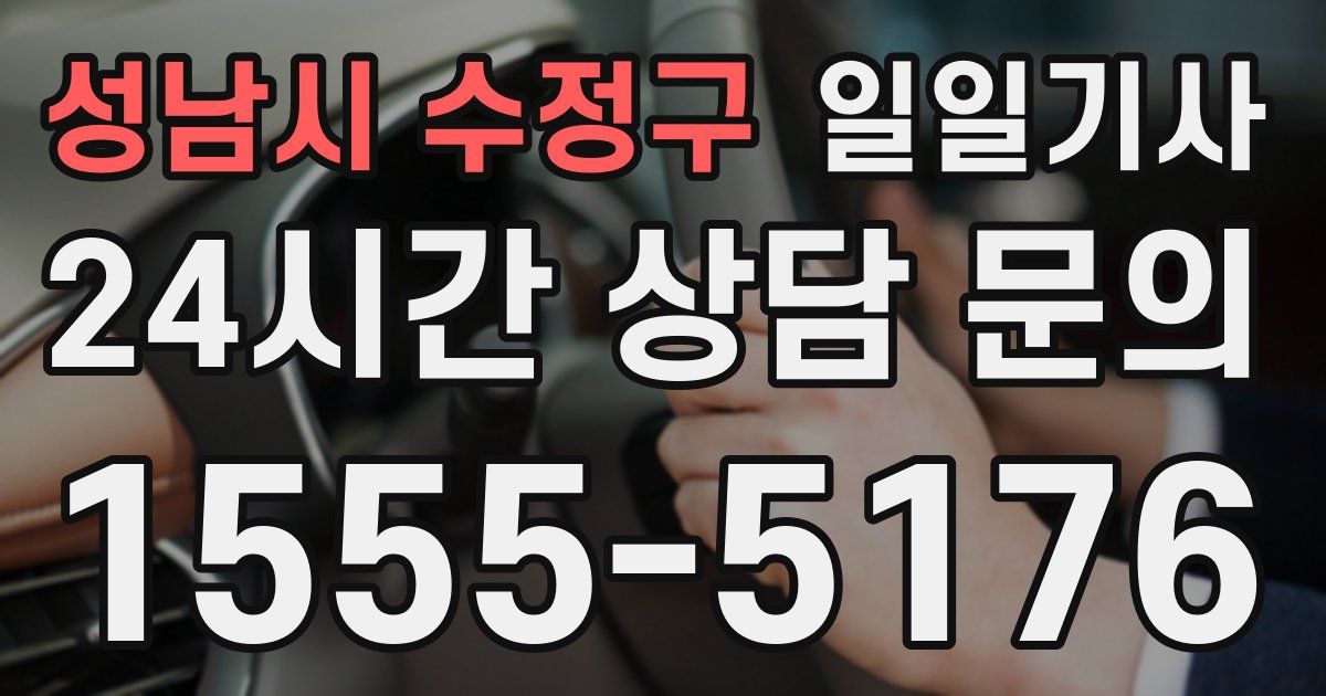 일일대리기사