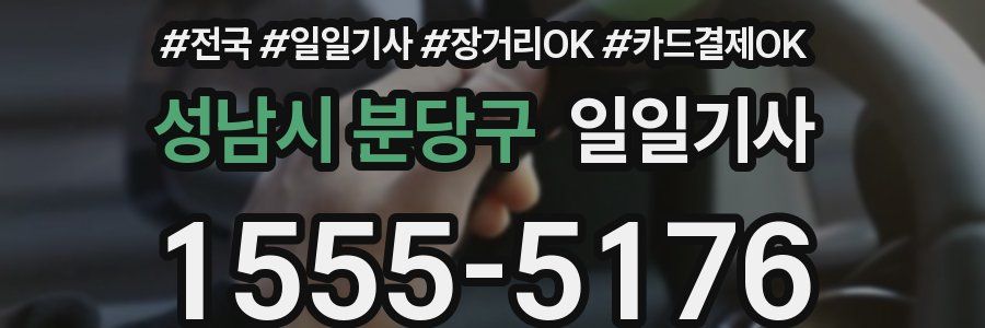 성남시 분당구 일일기사