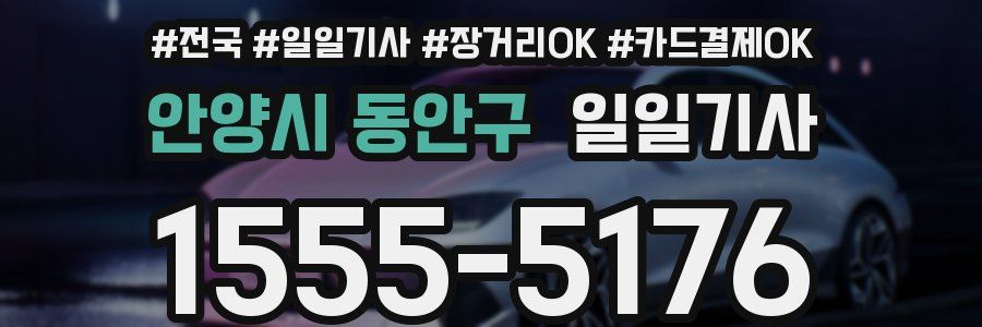 안양시 동안구 일일기사