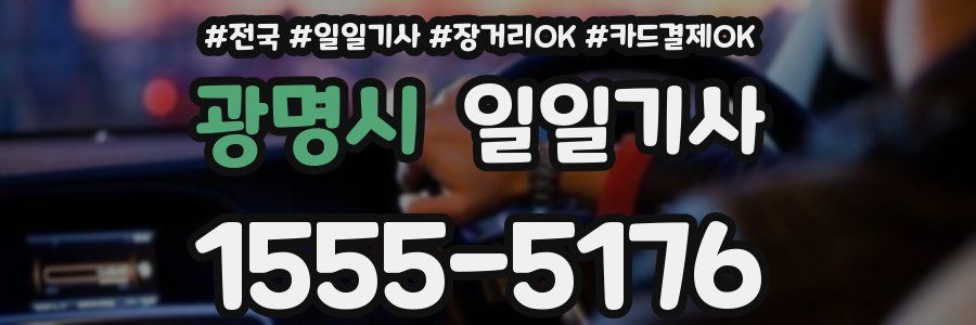 광명시 일일기사