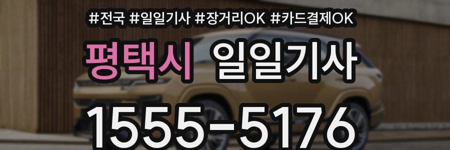 평택시 일일기사