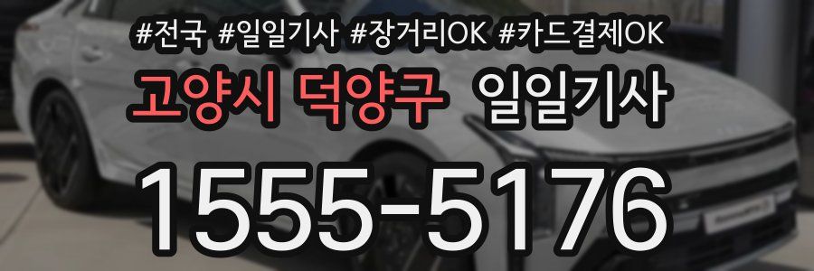 고양시 덕양구 일일기사