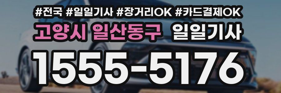 고양시 일산동구 일일기사