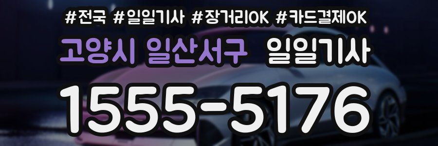 고양시 일산서구 일일기사