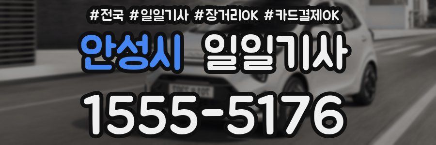 안성시 일일기사