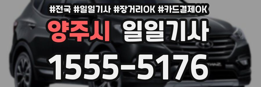양주시 일일기사