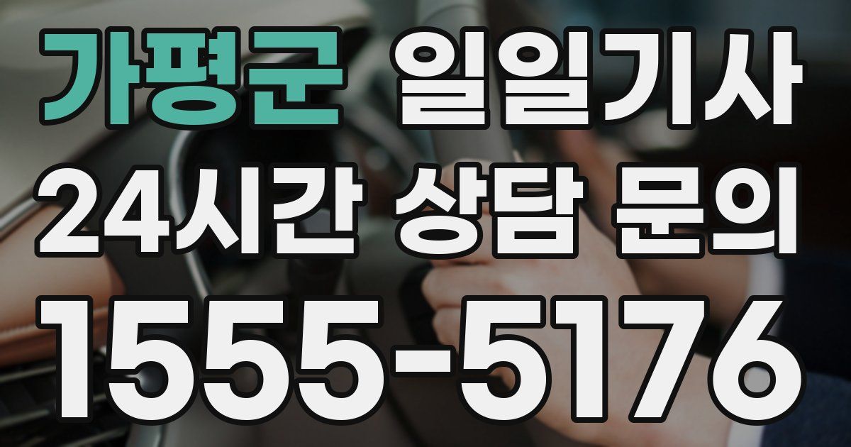 일일대리기사