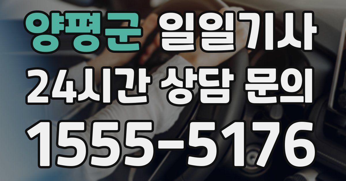 일일대리기사